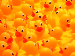 A picture of a very large rubber duck in a river.